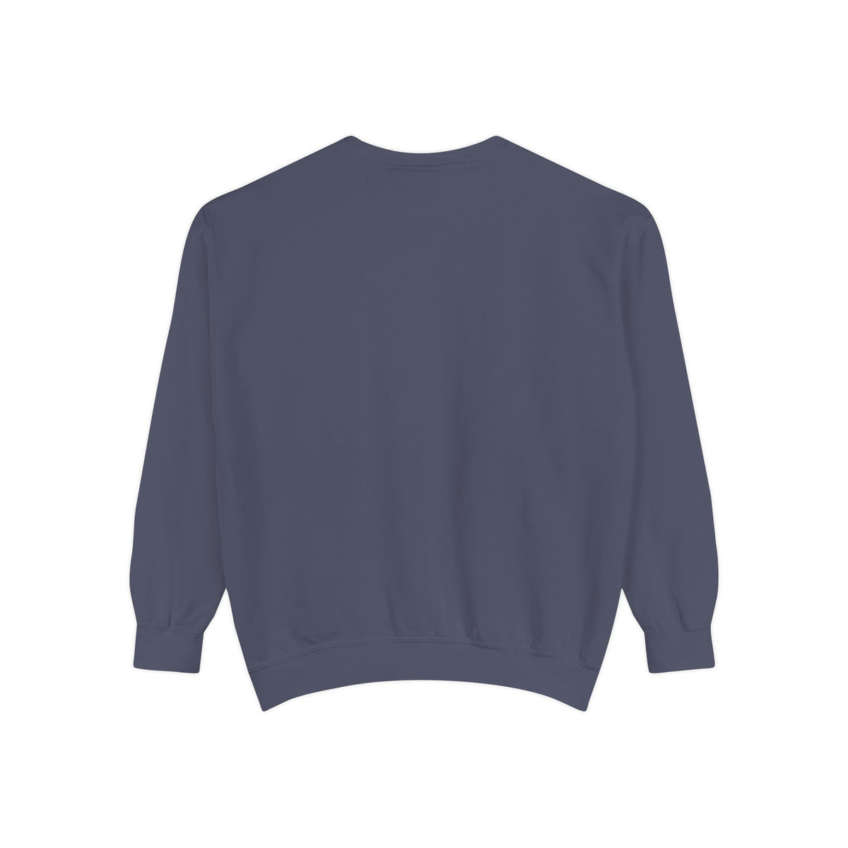The Guiding Eye Inspirational Sweatshirt